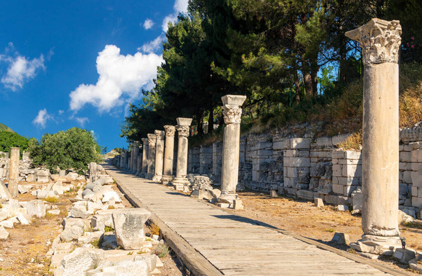 Curetes Street and Celsius Library in Ephesus ancient city. Cultural and history tourism concept. - Foto, imagen