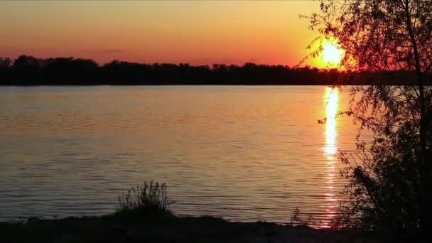 Naplemente a folyó felett. A nap visszaverődése a vízben. Este a folyó partján (tó). Faágak. Kis hullámok a víz felszínén. Narancssárga naplemente. Videó 4k - Felvétel, videó
