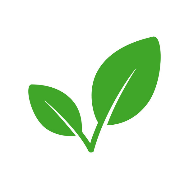 Eco leaf or organic product icon isolated on white. Vector illustration - Vektor, obrázek