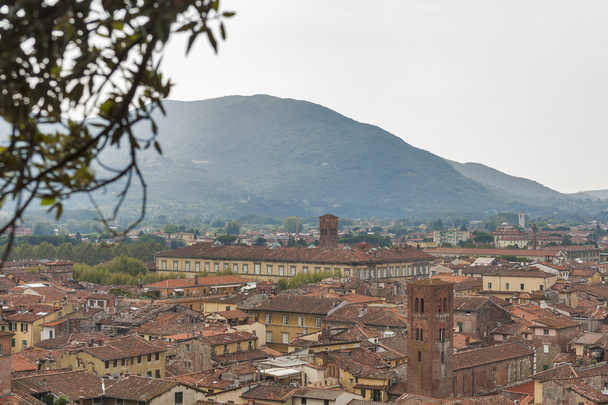 Blick über Lucca, Italien, unter Bäumen auf dem Guinigi-Schlepplift - Foto, Bild