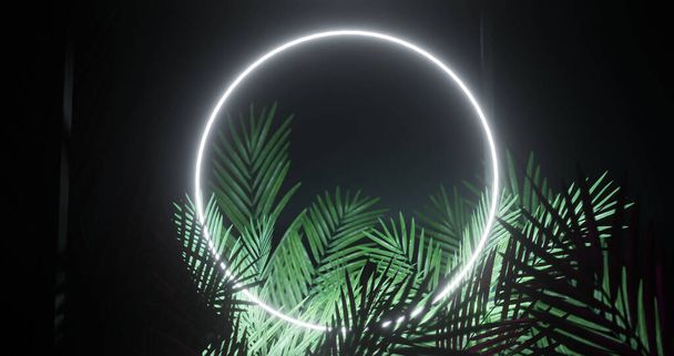 Image of leaves over white neon circle on black background. Light, pattern and movement concept digitally generated image. - Фото, зображення