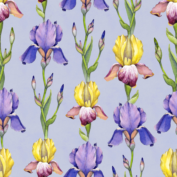 Watercolor iris flowers pattern - Фото, зображення