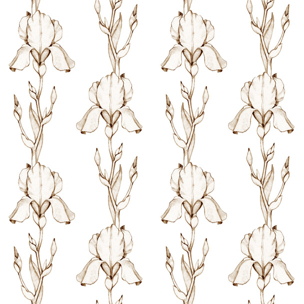 Iris flowers seamless pattern - Foto, afbeelding