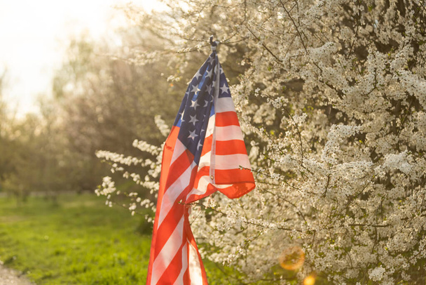 American flags in flowers on the Fourth of July. - Foto, Imagen