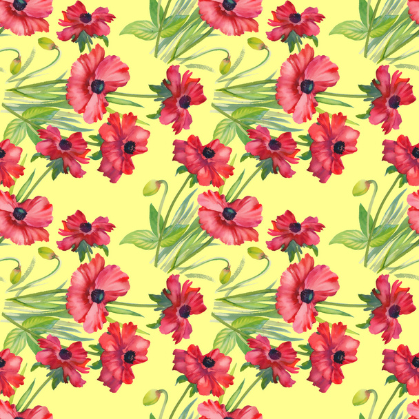 Poppies floral background - Φωτογραφία, εικόνα