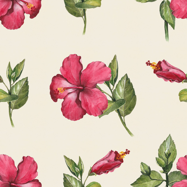 Watercolor hibiscus flowers pattern - Фото, зображення