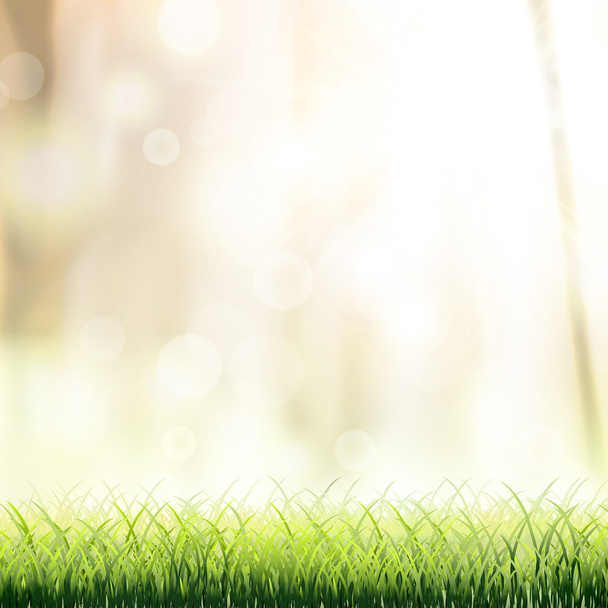 close-up look at natural grass background  - Vector, Imagen