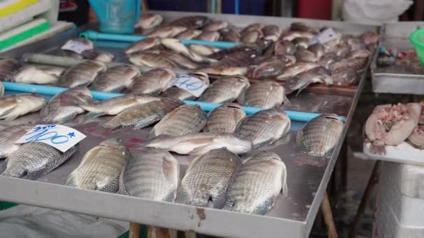Fresh fish choking without water in Khlong Toei Market Bangkok - 4K Horizontal video - Felvétel, videó