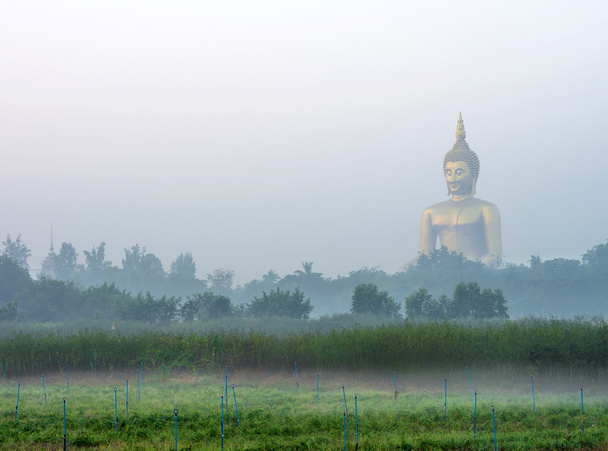 Στο μεγάλο Βούδα στο ναό του Wat Muang με ομίχλη και δέντρο, Angthong,  - Φωτογραφία, εικόνα