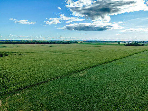 A wide open view of summer farm fields in rural wisconsin - Photo, image