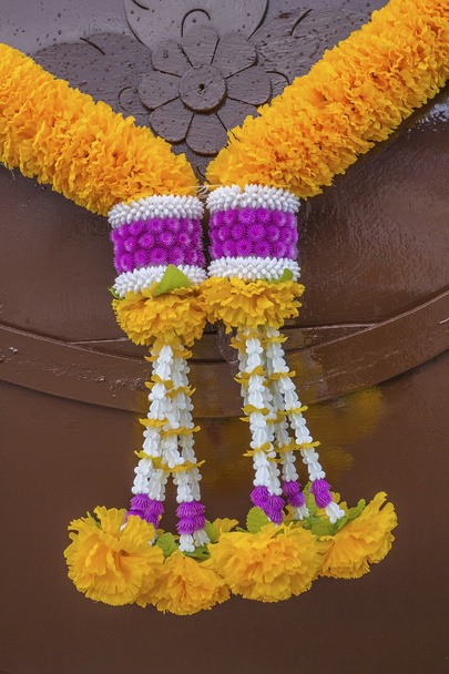Gele garland pijpbloemvlinder - Foto, afbeelding