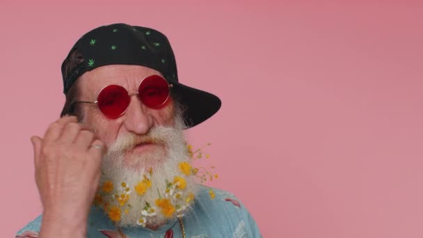 Close-up of cheerful stylish elderly man wearing sunglasses, charming smile. People emotions concept. Senior lovely mature grandfather with flowers in gray-haired beard posing isolated alone on pink - Metraje, vídeo