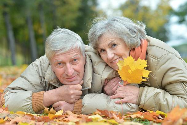 Mature couple in  park - Photo, Image