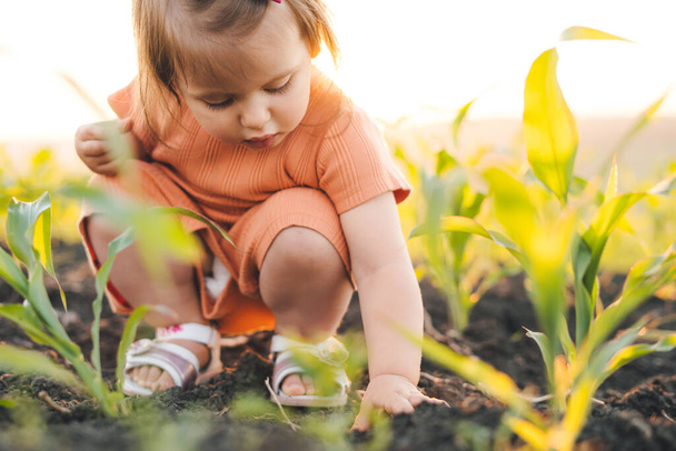 Дитяча дівчинка грає копати в землі на кукурудзяному полі, щоб дослідити невідоме. Безтурботне дитинство. Літня природа
. - Фото, зображення