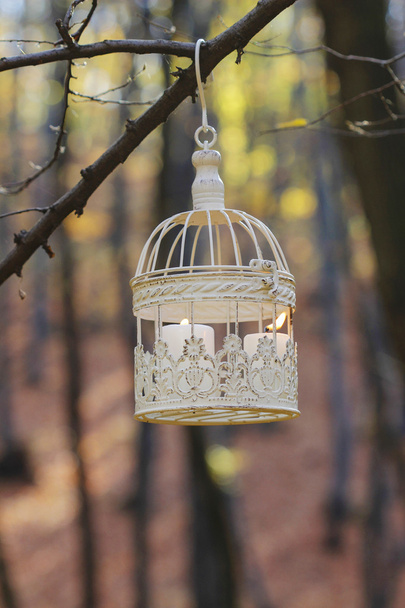 Gabbia per uccelli vintage appesa al ramo d'albero, candele bianche all'interno
 - Foto, immagini