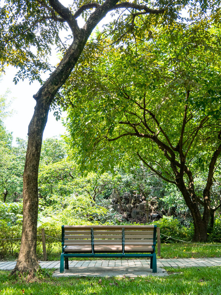 Громадський парк влітку, зелена алея, стежка і старомодна дерев'яна лавка в тіні дерев, сонячний день
. - Фото, зображення