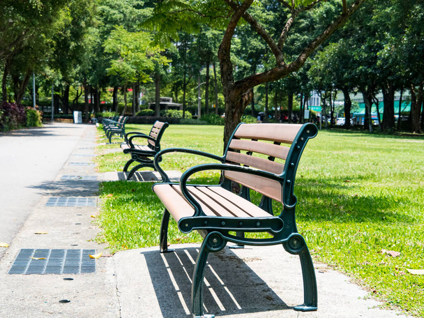 Public park in summer, green alley, footpath and old-fashioned wooden bench in the shade of trees, sunny day. - 写真・画像