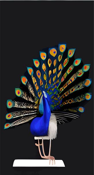 A peacock with an open tail isolated on a black vertical background. - Vector, Imagen