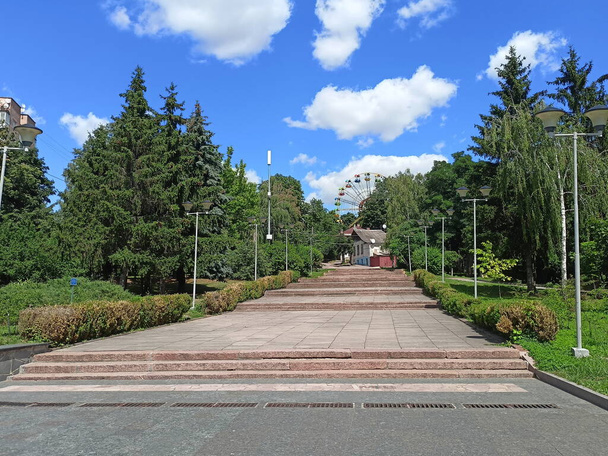 A panorama of a park alley on a sunny day surrounded by tall trees against a blue, barely cloudy sky. - Foto, afbeelding