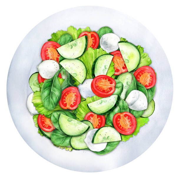 Salad with mozzarella, vegetables and fresh leaves on a plate. Healthy eating, clean food. Top view. Watercolor illustration. Suitable for menu and cookbook.  - Foto, afbeelding