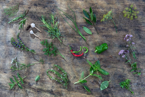 Αρωματικά βότανα και μπαχαρικά από τον κήπο, υγιεινό μαγείρεμα από ψηλά - Φωτογραφία, εικόνα