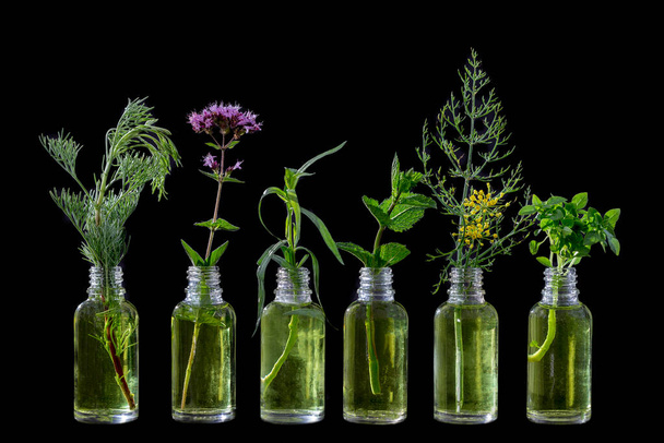 Different healing flowers in small glass bottles on black - Zdjęcie, obraz