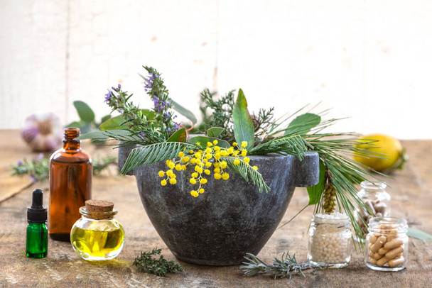Products derived from mimosa for health and cosmetics - Valokuva, kuva