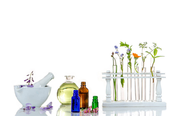 Πανοραμική εικόνα εργαστηρίου Φρέσκο φαρμακευτικό φυτό και λουλούδια έτοιμα για πειραματισμό σε λευκό φόντο - Φωτογραφία, εικόνα