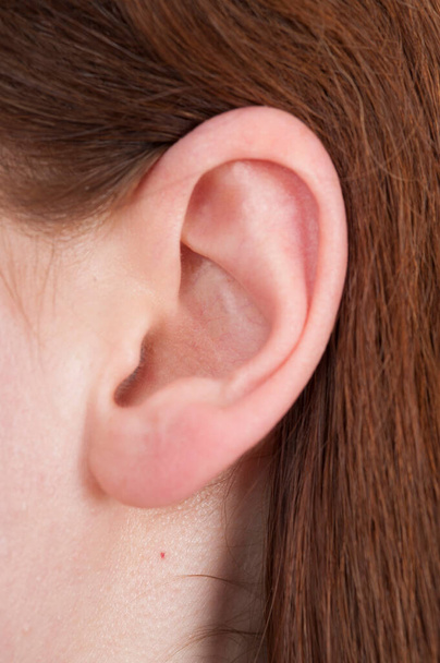 Жіноче вухо. крупним планом перегляд
 - Фото, зображення