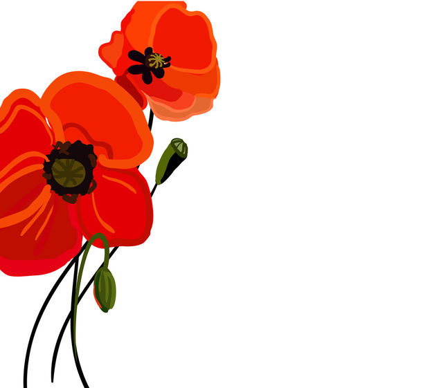 Red flower - Vector, Image