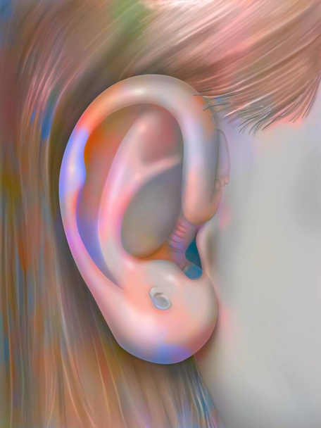 Auriculotherapy: ear and evidence of its resemblance to a fetus. - Photo, image