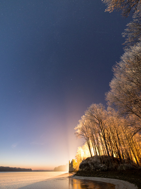 ciel nocturne avec étoiles dans la nuit d'hiver avec des arbres
 - Photo, image
