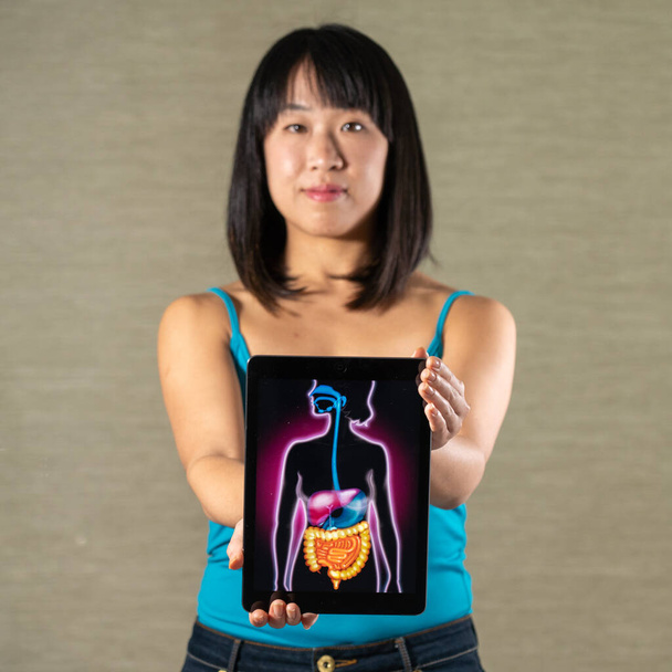 Woman holding screen with drawing of digestive system - Fotoğraf, Görsel