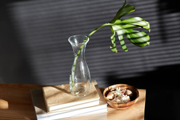 interior and home decor concept - monstera leaf in glass vase, books and seashells on bench over black background - Foto, afbeelding
