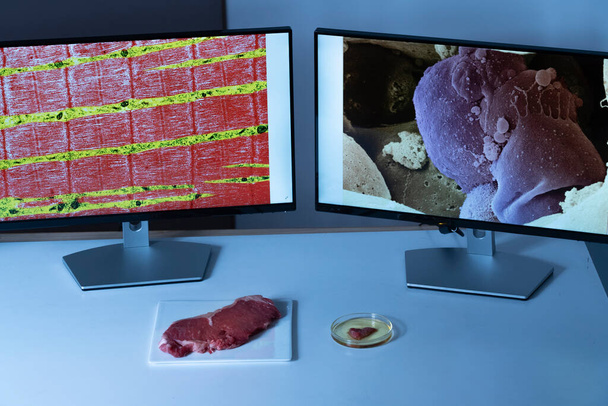 Laboratory steak obtained from stem cells in front of computer screens with medical images of muscle and stem cells. - Foto, Bild