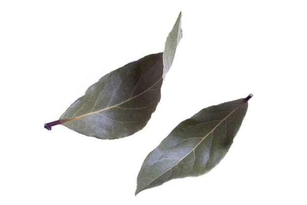 Due foglie di alloro isolate su sfondo bianco
 - Foto, immagini