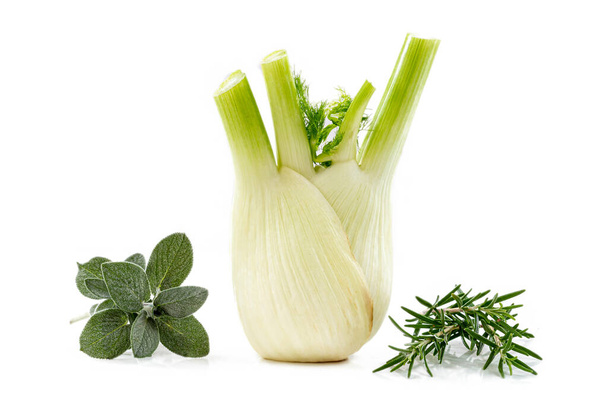 Cocktail of 3 medicinal plants: fennel, rosemary, sage on a white background. - Photo, image