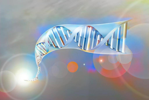 Διπλή έλικα DNA με τις βάσεις νουκλεοτιδίων: αδενίνη, θυμίνη, κυτοσίνη και γουανίνη. - Φωτογραφία, εικόνα