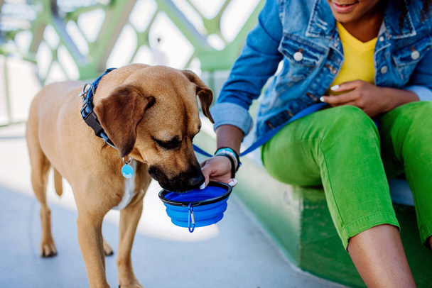 Close up of a girl giving bowl of water to her dog during hot summer day, outdoor in the city bridge. - Фото, зображення