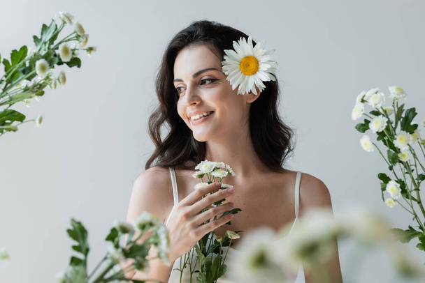 Happy brunette woman with chamomile in hair standing near blurred flowers isolated on grey  - Foto, Imagen