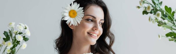 Young brunette woman with makeup and chamomile in hair standing near flowers isolated on grey, banner   - Foto, Bild