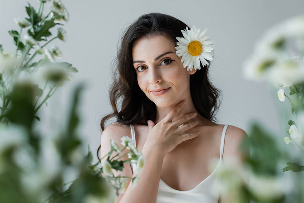 Portrait of smiling woman with chamomile in hair touching neck isolated on grey  - Fotografie, Obrázek