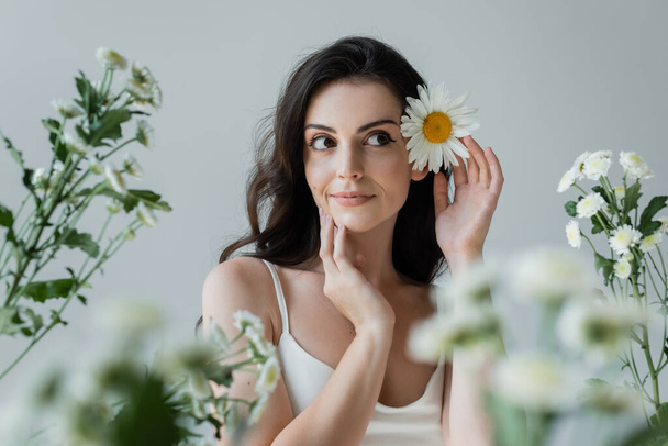 Pretty brunette woman with chamomile in hair looking away near blurred flowers isolated on grey  - Valokuva, kuva