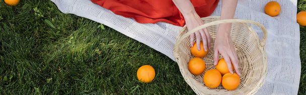 Cropped view of woman taking oranges from basket on blanket in park, banner  - Foto, Imagen