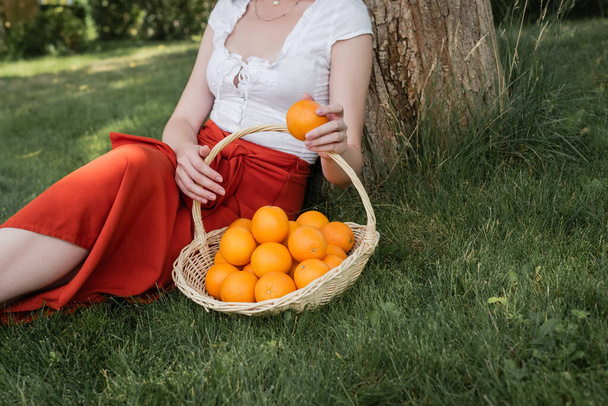Cropped view of stylish woman holding orange near basket in park  - 写真・画像