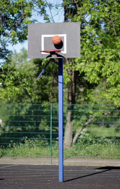 Basketball. - Foto, Imagem