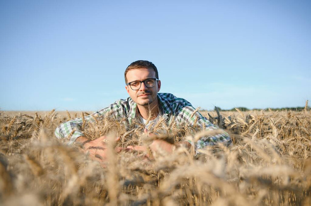 Farmer is standing in his growing wheat field. He is examining crops after sowing - Фото, зображення