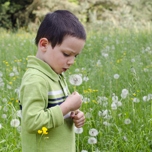 Child with dandelion - Foto, Bild