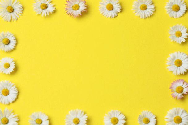 Frame of daisy flowers on yellow background, flat lay. Space for text - Foto, Bild