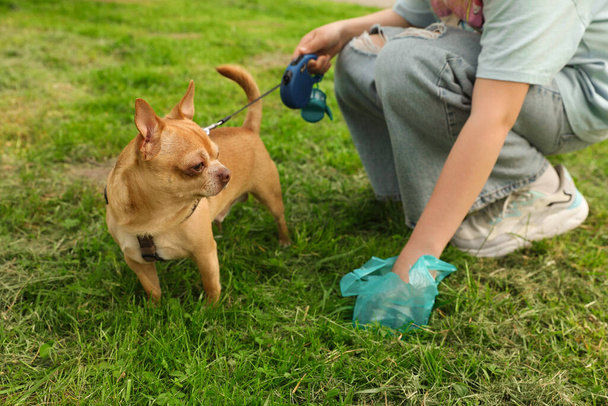 Woman picking up her dog's poop from green grass, closeup - Zdjęcie, obraz
